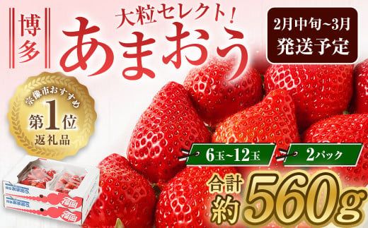 大粒セレクト！大人気のあまおう　福岡県産いちご　280g×2パック【2025年2月中旬～3月中旬発送】_HA0277