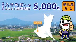 【 返礼品なし 】茨城県 八千代町 ふるさと応援寄附金 （5,000円 ) [ZZ003ya]