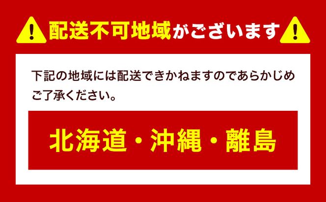 家庭用つる付きニューピオーネ 2房(1房530g以上)【配送不可地域あり】有限会社ホーティカルチャー神島 令和8年産先行受付《2026年9月中旬-10月下旬頃出荷》岡山県 笠岡市 送料無料 葡萄 フルーツ 果物 ニューピオーネ つる付き お取り寄せフルーツ---H-34b---