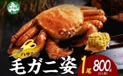 3302. 毛蟹 姿 800g 食べ方ガイド・専用ハサミ付 カニ かに ボイル済み 送料無料 北海道 弟子屈町