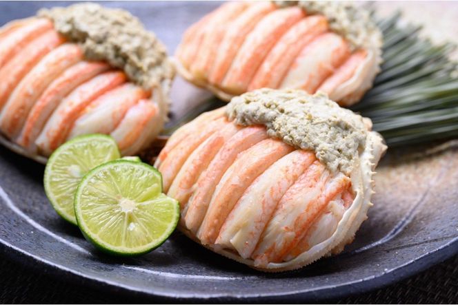 【蟹の匠 魚政】プレミアムズワイガニ甲羅盛り 蟹の漢船(おとこぶね) お手頃ミニサイズ 3個(2026年1月～発送)　UO01293