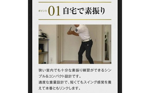 027BF01N.「匠・スイングマスター」