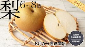 【 桐箱入り 】 梨 6〜8個 【8月から発送開始】（県内共通返礼品：石岡市産）田舎の頑固おやじが厳選！ フルーツ 果物 季節 秋 なし ナシ ギフト 桐箱 プレゼント 贈答  [BI349-NT]