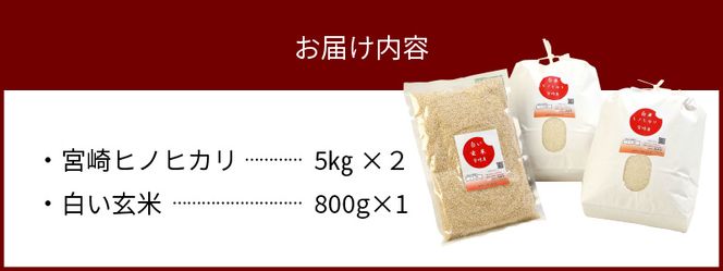 宮崎ヒノヒカリ 延岡産 白米と白い玄米セット 合計10.8kg　N0149-ZA725