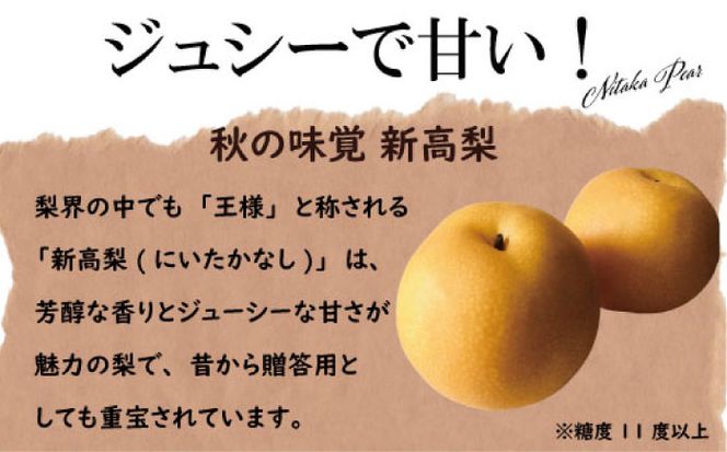 【2026年9月中旬～発送】【シャリッとおいしい！】新高梨 約3.4kg / 梨 なし 南島原市 / ふるさと企画 [SBA030]