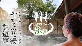 八千代グリーンビレッジ 「 やちよ乃湯 憩遊館 」 温泉 入浴 パスポート （3ヶ月） 入浴券 おんせん 入浴パスポート 旅行 ふるさと納税 59000円 [AN018ya]