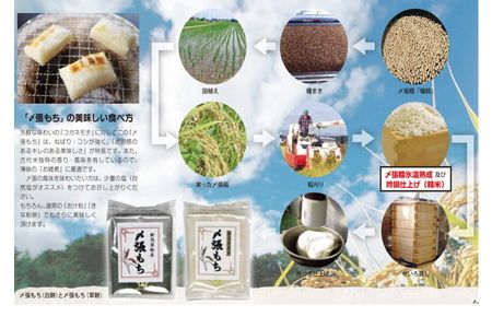 【令和7年産米】「〆張もち」と新潟県村上市岩船米コシヒカリ10kgセット　D4020