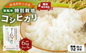 【令和7年産米】 【精米即日発送】 新潟県村上市 桃川産 特別栽培 コシヒカリ 6kg（2kg×3袋）　A4209