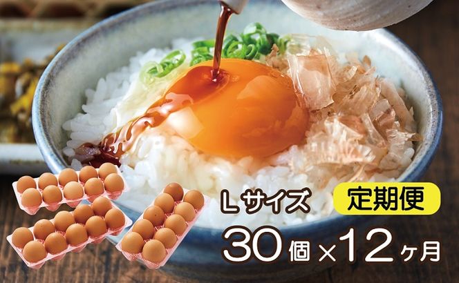 yɌs쒬z097AB01N.^Y~̗kTCYi30×12j