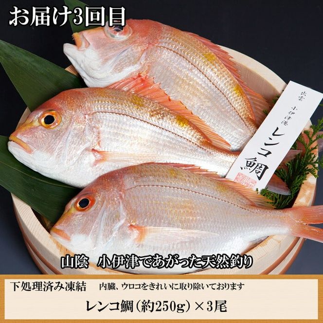 【定期便3回】風味豊かな出雲のお魚詰合せをお届けします！【3-083】