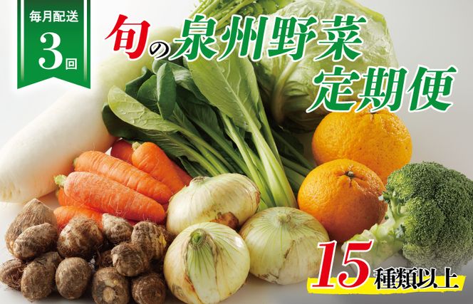 099Z114 泉州野菜 定期便 全3回 15種類以上 詰め合わせ 国産 新鮮 冷蔵【毎月配送コース】