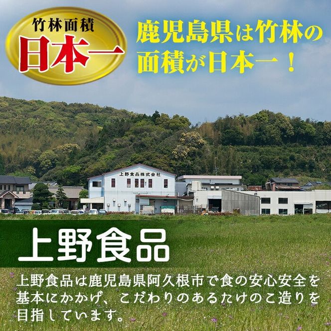 たけのこ水煮タンザク(計700g・100g×7袋)国産 九州産 筍 野菜 使い切り 小分け 個包装【上野食品】akn008-13