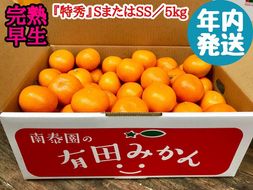 年内発送 完熟早生 有田みかん 特秀 S または SS サイズ 5kg 和歌山 南泰園 BS631