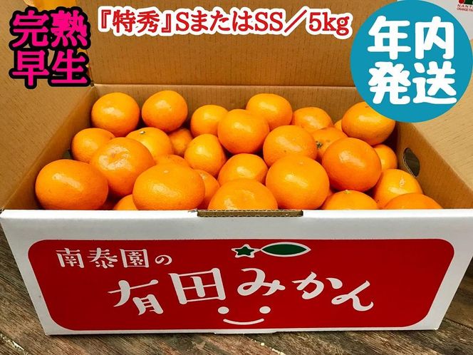 年内発送 完熟早生 有田みかん 特秀 S または SS サイズ 5kg 和歌山 南泰園 BS631