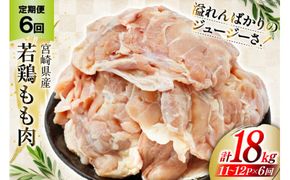 定期便 肉 鶏肉 6回定期便 若鶏もも身11〜12パック 計3kg [九州児湯フーズ 宮崎県 美郷町 31aj0034] 冷凍 小分け 個包装 鶏もも肉 もも肉 モモ肉