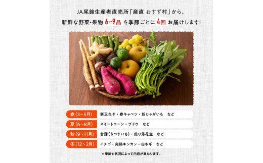 野菜 【定期便】産直おすず村 季節の野菜と果物 厳選 詰め合わせセット（小）【 旬野菜 フルーツ 直売所 産地直送 宮崎県産 】☆[G3802]