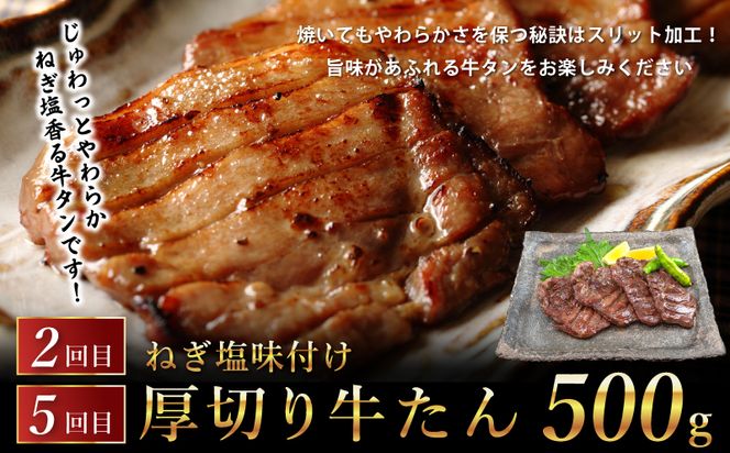 G1061 桜文 お楽しみ 定期便 全6回（焼き鳥／牛タン／黒毛和牛入り BIGハンバーグ）【毎月配送コース】