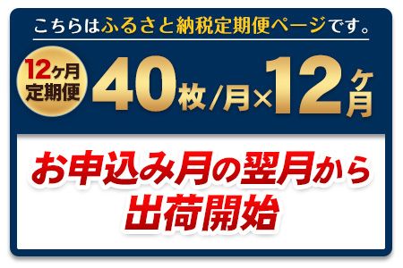 【12ヶ月定期便】 訳あり 一番摘み 有明海産 海苔 40枚 《お申込み月の翌月から出荷開始》熊本県産（有明海産）全形40枚入り 長洲町 海苔 定期便 ---fn_noritei_r7_81000_40m_mo12---