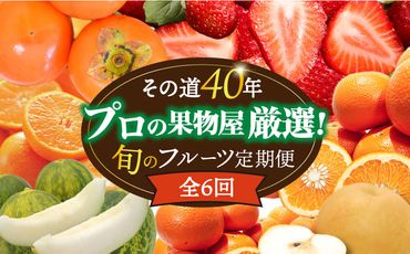 【年6回 奇数月コース】果物屋が選ぶ旬のフルーツ定期便 いちご メロン ハウスみかん 梨 柿 など / 南島原市 / 贅沢宝庫 [SDZ021]