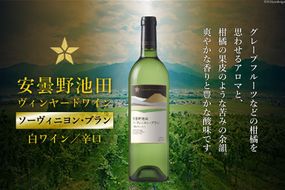 白ワイン サッポロ グランポレール 安曇野池田ヴィンヤード「ソーヴィニヨン・ブラン」750ml [池田町ハーブセンター 長野県 池田町 48110627] 白 ワイン 辛口 お酒 酒 