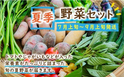 SORA農園有機野菜セット年2回（夏季・冬季）お届け　SN00004