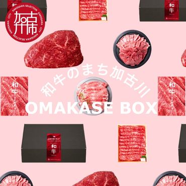 OMAKASE BOX 肉のまち加古川 プリンセス和牛定期便(全4回)《 肉 定期便 牛肉 ステーキ しゃぶしゃぶ すき焼き用 焼肉 おすすめ 贈答 プレゼント 》【2407A11504】