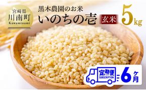 【6ヶ月定期便】 黒木農園のお米 「いのちの壱(玄米)」 5kg 【 米 お米 玄米 国産 宮崎県産 いのちのいち おにぎり 】 [D03202t6]