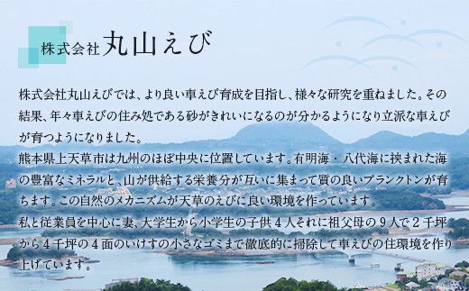  揚げるだけ！ 熊本県産 車えびフライ（8尾 × 2パック）