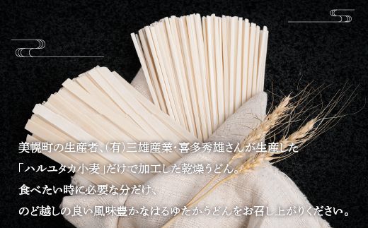 大人気の北海道小麦使用「はるゆたかうどん　平麺＆細麺 つゆ付き」 BHRH016