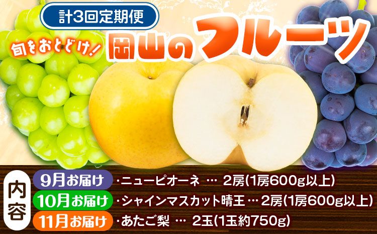 [2025年先行予約] 定期便3回コース 岡山のフルーツ ニューピオーネ 2房 (1房600g以上) シャインマスカット 晴王 2房 (1房600g以上) あたご梨 2玉 (1玉約750g) 化粧箱入り 株式会社山博(中本青果) [2025年9月上旬-11月下旬頃出荷] 岡山県 浅口市 送料無料---124_c303tei_23_58000_sep3---