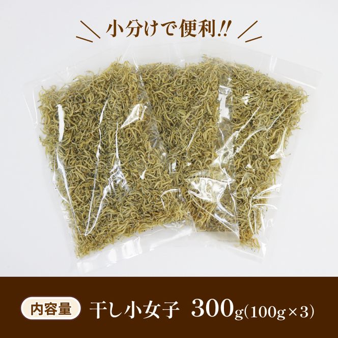 干し小女子 300g 三陸産 いかなご 新子 小分け [56500278]