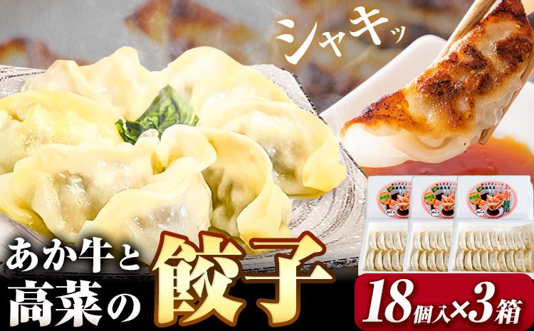 あか牛と高菜の餃子 18個入り×3箱 南阿蘇物産センター[30日以内に出荷予定(土日祝を除く)]熊本県 南阿蘇村 肉 牛 うし 牛肉 あか牛 高菜 たかな 餃子---sms_fautkngz_30d_r7_13500_46p---