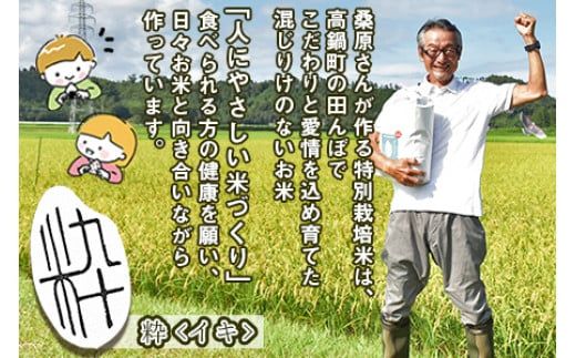 令和5年度新米 特別栽培米「粋」コシヒカリ 10kg＞ ※入金確認後、翌月