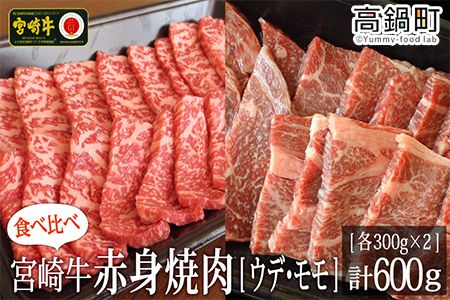 ＜宮崎牛赤身焼肉600g(300g×2)＞3か月以内に順次出荷【c717_tf_x2】