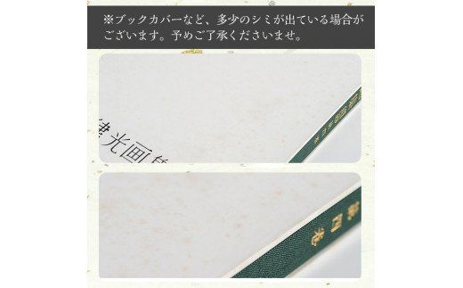 丹宗律光画集(全12巻)美術品 丹宗律光 画集 絵画 図鑑 古書 書籍【生涯学習課】akn012-02