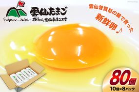 BI025 雲仙たまごLサイズ  80個 (10個入り×8パック)(75個＋割れ補償5個入り) [ 卵 たまご 生卵 鶏卵 赤卵 玉子 新鮮 塚ちゃん雲仙たまご村 長崎県 島原市 ]