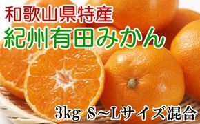 [秀品]和歌山有田みかん約3kg（S～Lサイズ混合）★2024年11月中旬頃より順次発送    BZ059