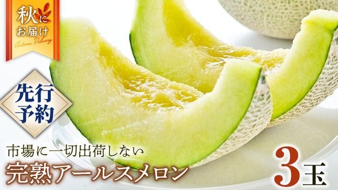 完熟 アールスメロン 3玉 2025年産 先行予約 メロン マスクメロン 青肉 果物 フルーツ 茨城県産 期間限定 数量限定 [AF004ci]