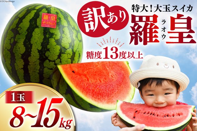 BH055【令和8年度出荷分】訳あり 大玉スイカ～羅皇（ラオウ）～（8〜15kg）[先行予約 数量限定 すいか スイカ 西瓜 フルーツ 果物 長崎 長崎県 島原市]