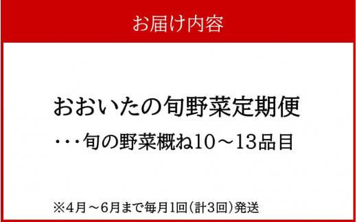 4月からお届け!おおいたの旬野菜定期便/計3回発送_2394R