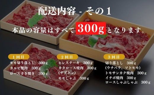 PA-01 【定期便】 豊後・米仕上牛 部位 17種類 食べつくし 6か月 6kg【極】