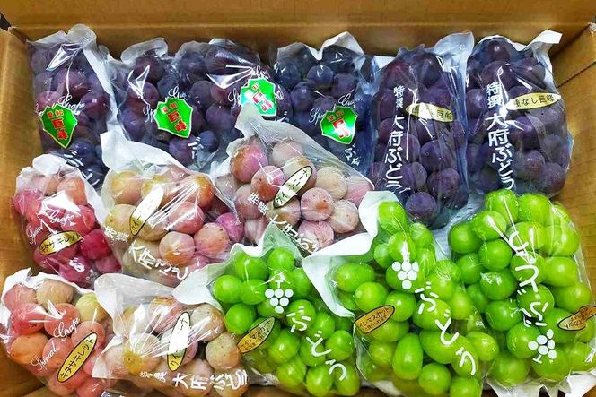 【2026年先行予約・数量限定】園主おまかせ特選ぶどう詰合せ 約２kg  (当園栽培16品種の中より厳選) ＜2026年8月中旬～発送＞ 232238_AV014-PR