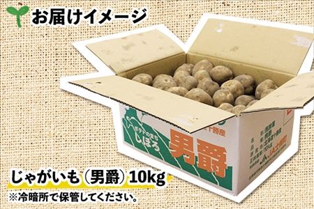 北海道 じゃがいも 男爵 10kg 北海道産 十勝産 男爵芋 男爵イモ 男爵薯 ジャガイモ 芋 いも ポテト お取り寄せ まとめ買い 送料無料 十勝 士幌町【V03】