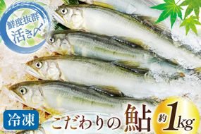 鮎 冷凍 こだわりの鮎 約1kg [あゆの是則 宮崎県 日向市 452060794] あゆ アユ 魚 魚介 川魚 塩焼き 甘露煮 冷凍