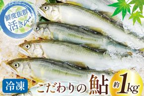 鮎 冷凍 こだわりの鮎 約1kg [あゆの是則 宮崎県 日向市 452060794] あゆ アユ 魚 魚介 川魚 塩焼き 甘露煮 冷凍