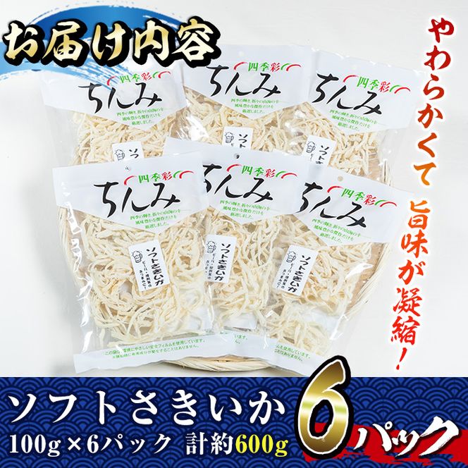 ソフトさきいか(計約600g・100g×6P)干物 おつまみ 珍味 海産物 常温 保存【E-26】【水永水産】