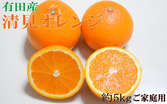 【濃厚】有田産清見オレンジ約5kg（サイズおまかせ・ご家庭用）★2025年2月下旬頃より順次発送     BZ120