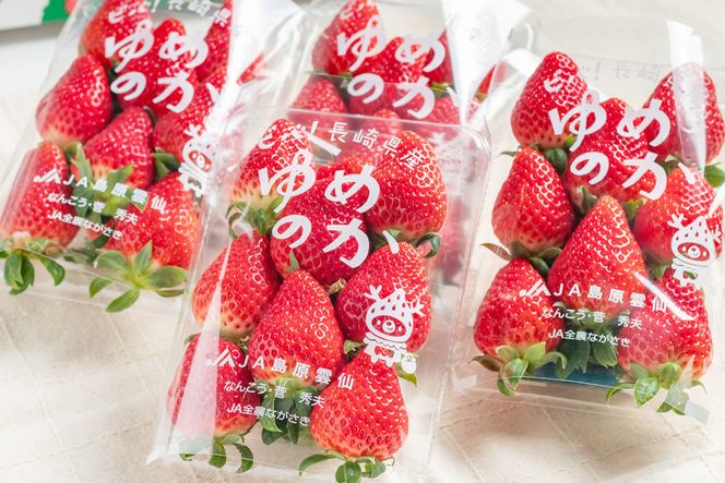 【期間限定発送】CF106 長崎県知事賞受賞【 厳選 いちご 】「 ゆめのか （2L～3L）」 260g × 4パック ＜12月までにお届け＞