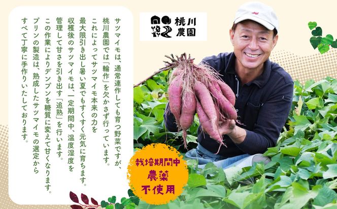 【数量限定】【村上市産 熟成さつまいも使用】焼き芋ぷりん2種（紅はるか・シルクスイート）×6個　計12個セット 1040007