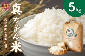 【B6-024】【令和6年産】農薬・化学肥料不使用 真ちゃん米 5kg